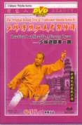 Routine 1 Of Shaolin Mizong Quan DVD -  