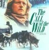 The Call Of The Wild DVD - Michael Shanks, Rutger Hauer