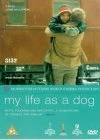 My Life As A Dog DVD - Lennart Hjulström, Christina Carlwind