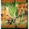 Born Free / Living Free DVD - Geoffrey Keen, Edward Judd