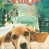 Shiloh DVD - Scott Wilson, Ann Dowd