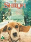 Shiloh DVD - Scott Wilson, Ann Dowd