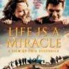 Life Is A Miracle DVD - Slavko Stimac, Vesna Trivalic