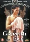 The Labyrinth Of Love DVD - none 