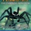 Predators - The Crawling Kingdom DVD - Gene Galusha 