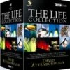 Attenborough - The Life Collection DVD - David Attenborough 