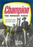 The Adventures Of Champion The Wonder Horse - Complete DVD - Hank Patterson, Barry Curtis
