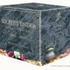 Six Feet Under 1-5 : The Complete DVD Collector's Edition DVD - Richard Jenkins, Benjamin Parrillo