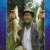 Fishing - On The River With Des Taylor DVD -  