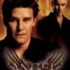 Angel Season 5 Box Set DVD - David Michael Gangler, Mercedes McNab