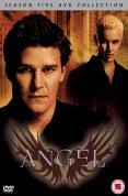Angel Season 5 Box Set DVD - David Michael Gangler, Mercedes McNab