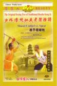 Shaozi Cudgel vs Spear DVD - Shi Deyang 