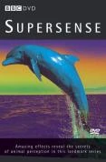 Super Sense DVD -  