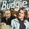 Budgie - Series 2 DVD - Iain Cuthbertson, June Lewis