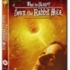 What The Bleep? Down the Rabbit Hole - 5 Disc Box Set DVD - John Ross Bowie, Barry Newman