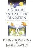 A Strange And Strong Sensation Symbolic Modelling: Change With Metaphor DVD -  
