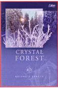 Nature's Beauty - Crystal Forest DVD - none 
