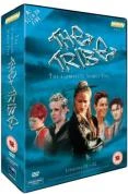 The Tribe - Season 5 DVD -  