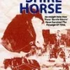 The Shire Horse DVD -  