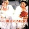 Late Bloomers DVD - Lisa Peterson , Joe Nemmers