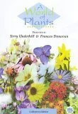 A World Of Plants DVD -  