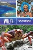 Wild Caribbean DVD -  