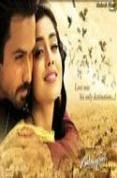 Awarapan DVD - Shreya Saran, Mrinahimi Sharma 