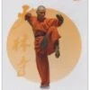 Shaolin Warrior - Rou Quan - Soft Fist DVD -  