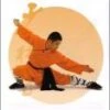 Shaolin Workout - Shaolin Warrior Vol.1 - Beginners DVD -  