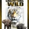 Champions of the Wild-Volume 1 DVD -  
