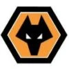 Wolverhampton Wanders Season Review 2007-2008 DVD - Wolverhampton Wanderers 