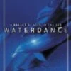 Lee Johnson - Waterdance DVD - Lee Johnson 