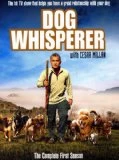 My Sexiest Year DVD - Cesar Millan 