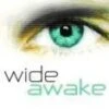 Wide Awake DVD - Erwin McManus 