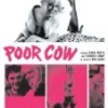 Poor Cow DVD - Carol White, Queenie Watts 