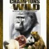 Champions Of The Wild Primates, Pandas & Bears 2 Dvd Embossed Tin DVD -  
