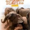 Elephant Diaries - Series 2 DVD - Michaela Strachan , Jonathan Scott
