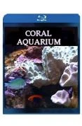Plasma/LCD Art - Coral Aquarium DVD -  