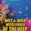Wet And Wild Mysteries Of The Deep DVD -  