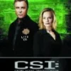 CSI: Las Vegas - Complete Season 2 DVD - William L. Petersen, George Eads 