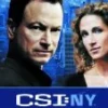 CSI: New York - Complete Season 4 DVD - Carmine Giovinazzo, Melina Kanakaredes