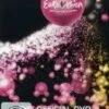 Eurovision Song Contest 2010 DVD - Various 