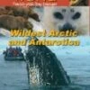 Wildest Artic & Antarctica DVD - Greg Grainger 