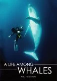 A Life Among Whales DVD - Dr. Roger Payne 