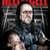 WWE - Hell In A Cell 2010 DVD - The Undertaker, Kane