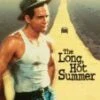 The Long Hot Summer DVD - Paul Newman, Anthony Franciosa 