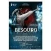 Besouro DVD - Ailton Carmo, Jessica Barbosa