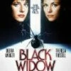 Black Widow DVD - Debra Winger, Theresa Russell 
