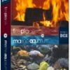 Aquarium + FirePlace - Special Collectors Edition Blu Ray -  
