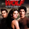 Teen Wolf - Season 1 DVD - Holland Roden, Crystal Reed